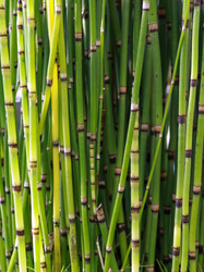 Similar image 22126518