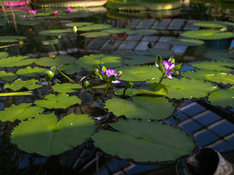 Similar image 22128351