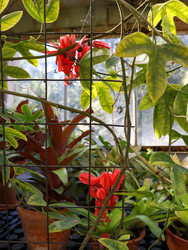 Similar image 22126519