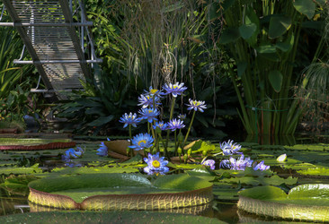 Similar image 22126523