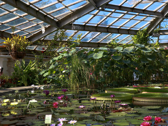 Similar image 22126524