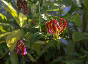 Similar image 22126525