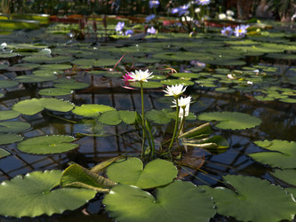 Similar image 22126528