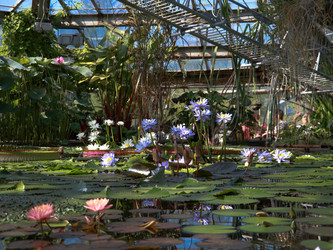 Similar image 22126529