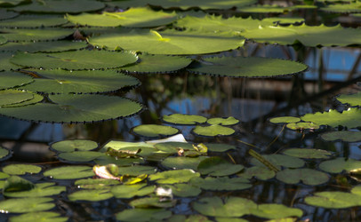 Similar image 22126531