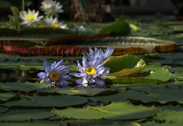 Similar image 22126532