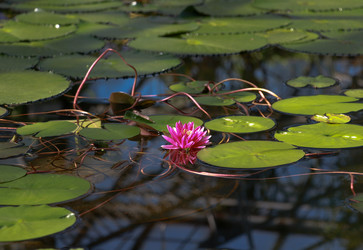 Similar image 22126533