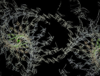 Similar image 22113032