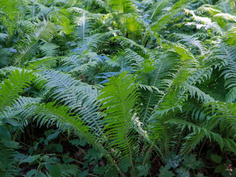 Similar image 22126535