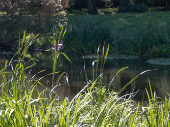 Similar image 22126536