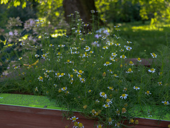 Similar image 22126537