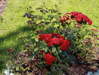 Similar image 22126538