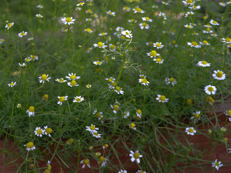 Similar image 22126539