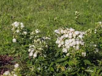 Similar image 22126540