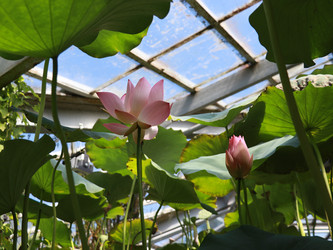 Similar image 22125731