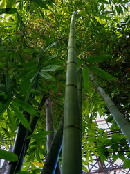 Similar image 22125732