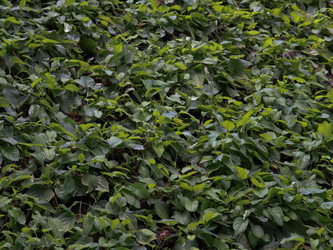 Similar image 22128360