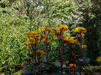 Similar image 22128363