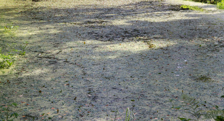 Similar image 22125733