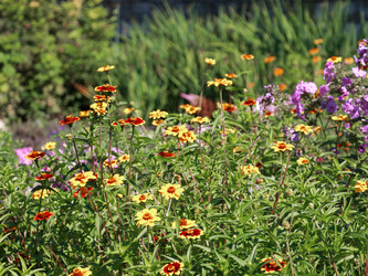 Similar image 22128364