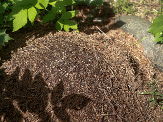 Similar image 22125734