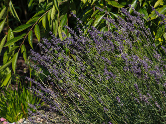 Similar image 22125735