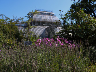 Similar image 22125736