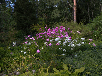 Similar image 22128366