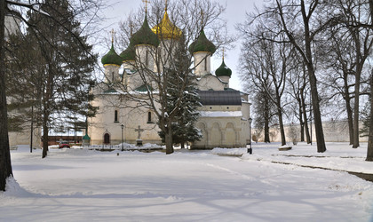 Similar image 22113203