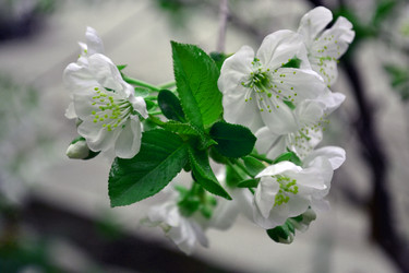 Similar image 22112446