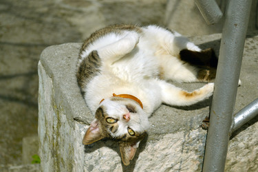 Similar image 22112447