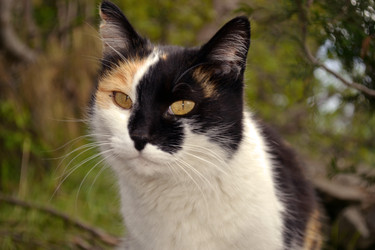 Similar image 22112448