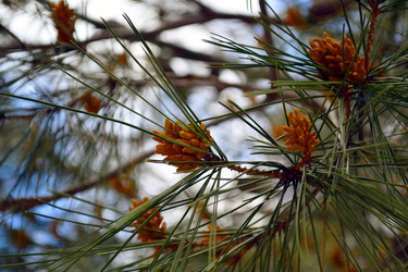 Similar image 22112449