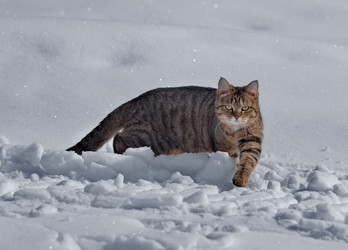 Similar image 22113218