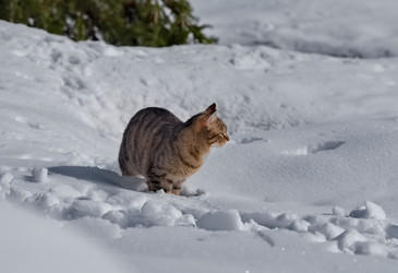 Similar image 22113219