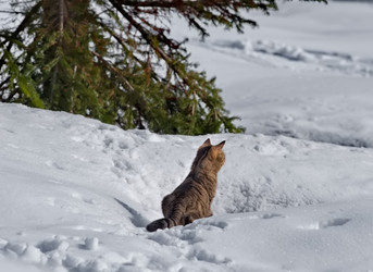 Similar image 22113220