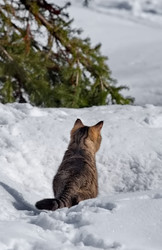 Similar image 22113221