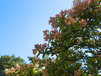 Similar image 22128369