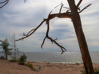 Similar image 22126544