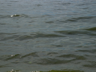 Similar image 22120177