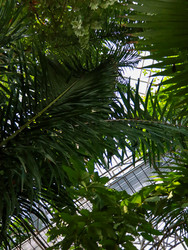 Similar image 22125740