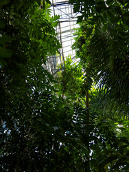 Similar image 22125741