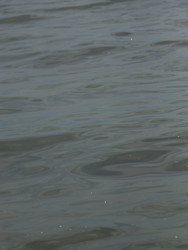 Similar image 22120179