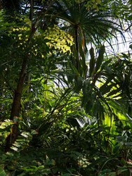 Similar image 22125743