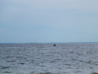 Similar image 22120181