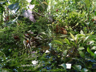 Similar image 22125746