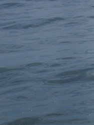 Similar image 22120182