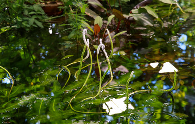 Similar image 22125747