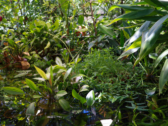 Similar image 22125748