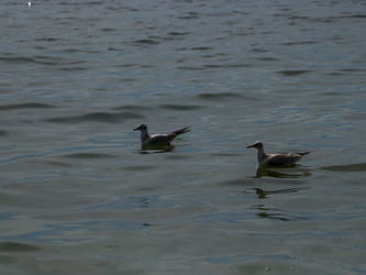 Similar image 22120185